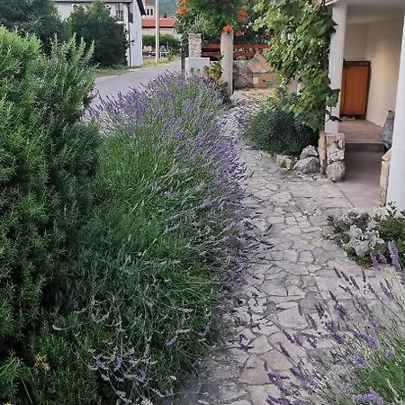 Casa Lavanda - Karin Gornji Gornji Karin Exterior photo